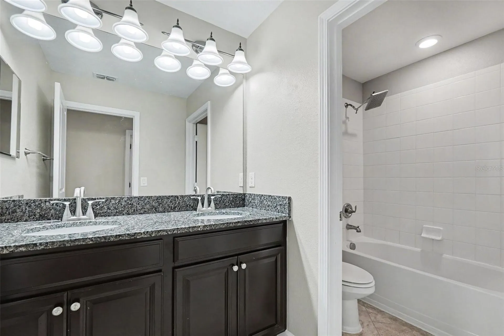 14218 Blue Dasher Drive Riverview FL 33569