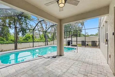 14218 Blue Dasher Drive Riverview FL 33569