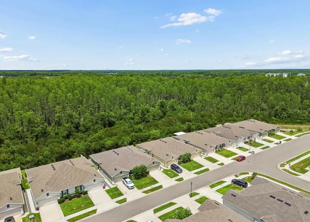18307 Turning Leaf Circle Land O Lakes FL 34638