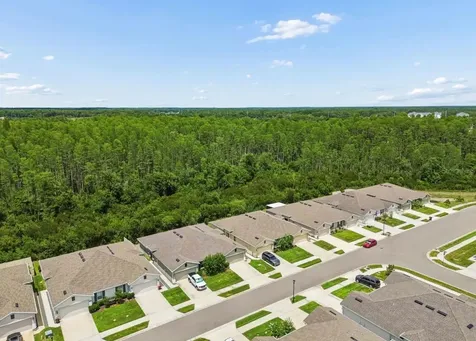 18307 Turning Leaf Circle Land O Lakes FL 34638