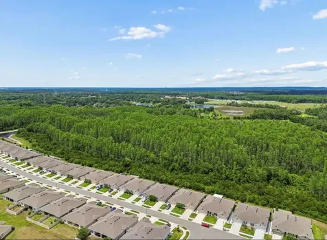 18307 Turning Leaf Circle Land O Lakes FL 34638