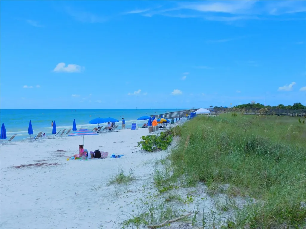 7 Elgin Place Dunedin FL 34698