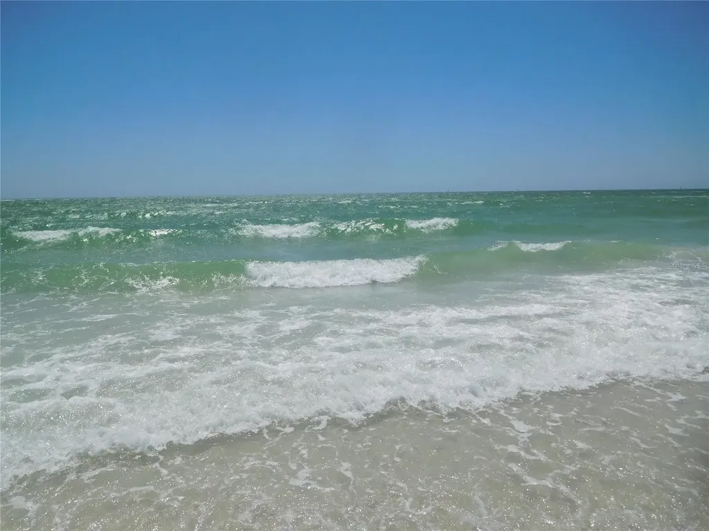 7 Elgin Place Dunedin FL 34698