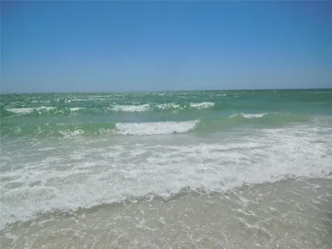 7 Elgin Place Dunedin FL 34698