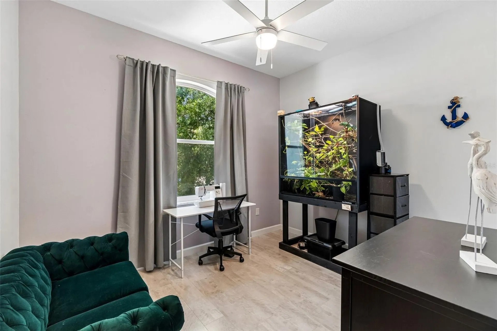6121 Lafayette Street New Port Richey FL 34652