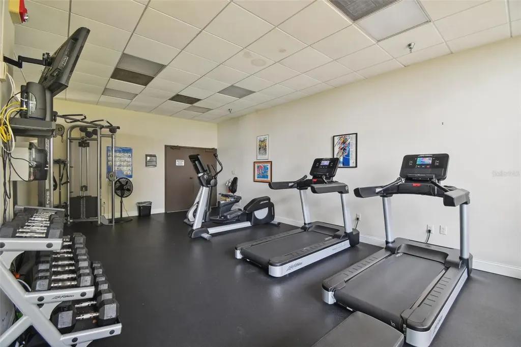 2413 Bayshore Boulevard Tampa FL 33629