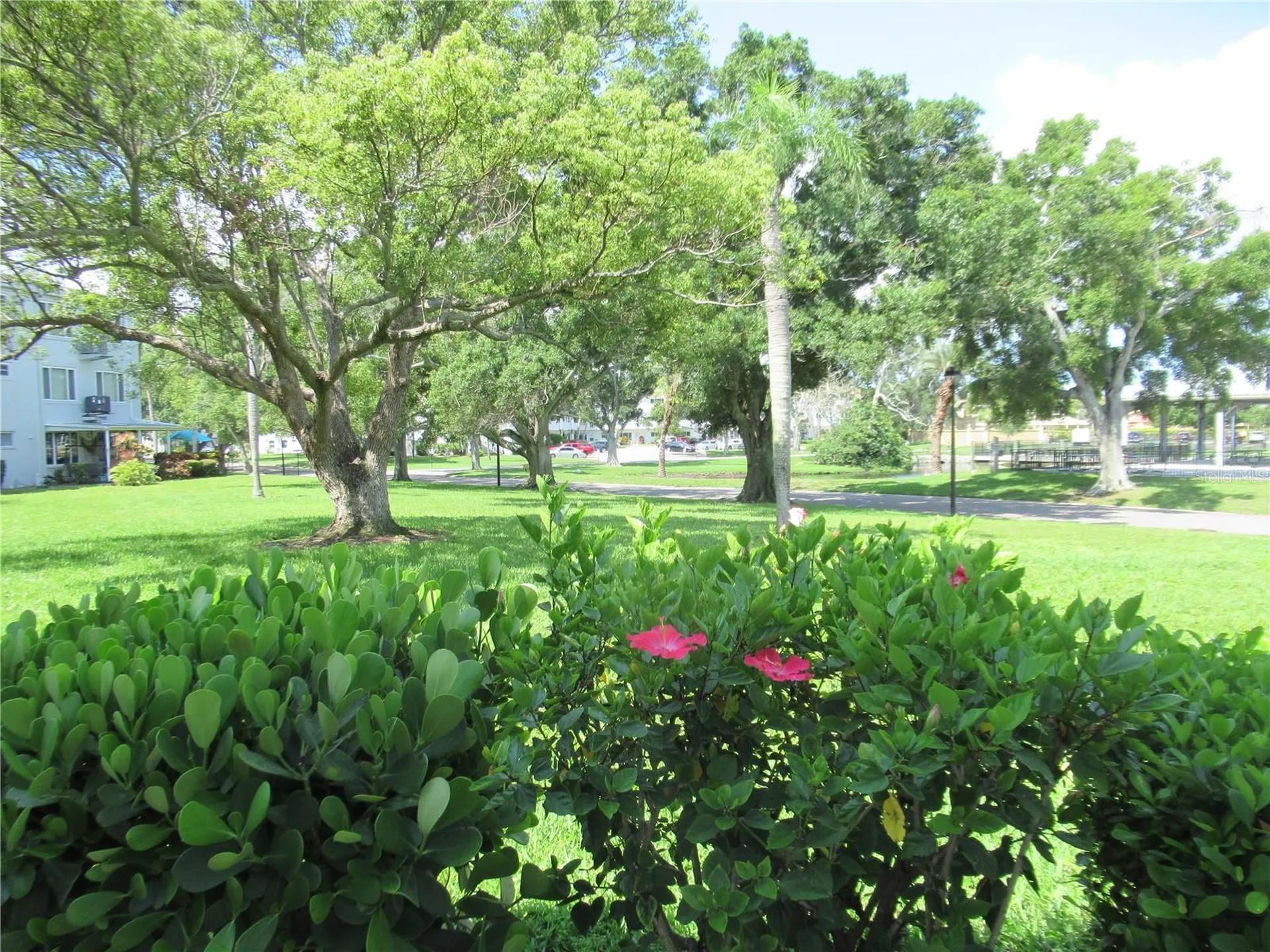 2449 Columbia Drive Clearwater FL 33763