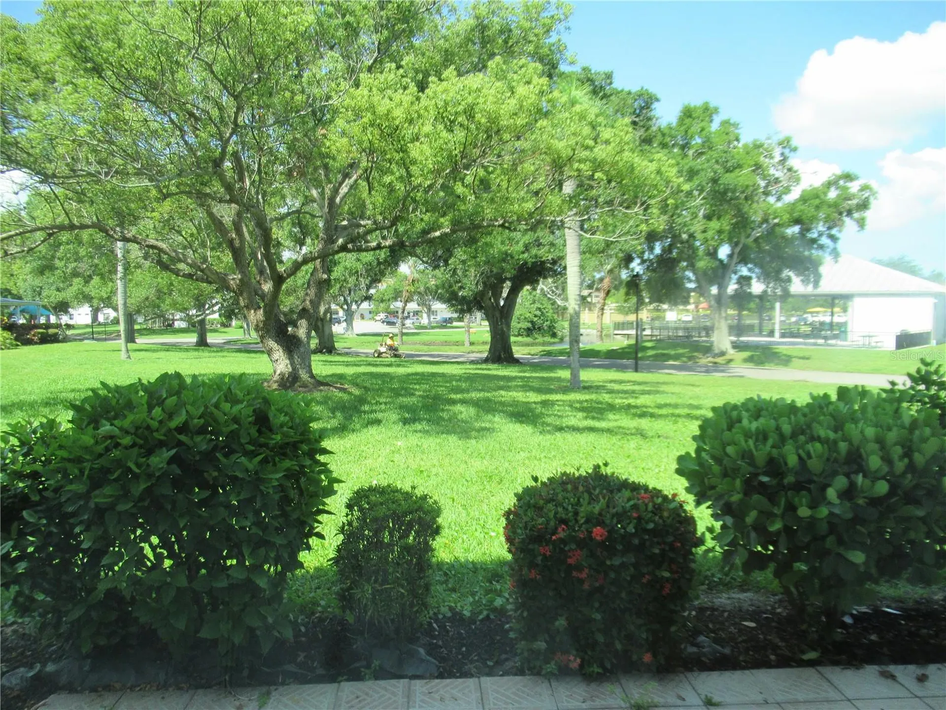 2449 Columbia Drive Clearwater FL 33763