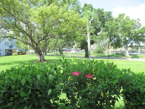 2449 Columbia Drive Clearwater FL 33763