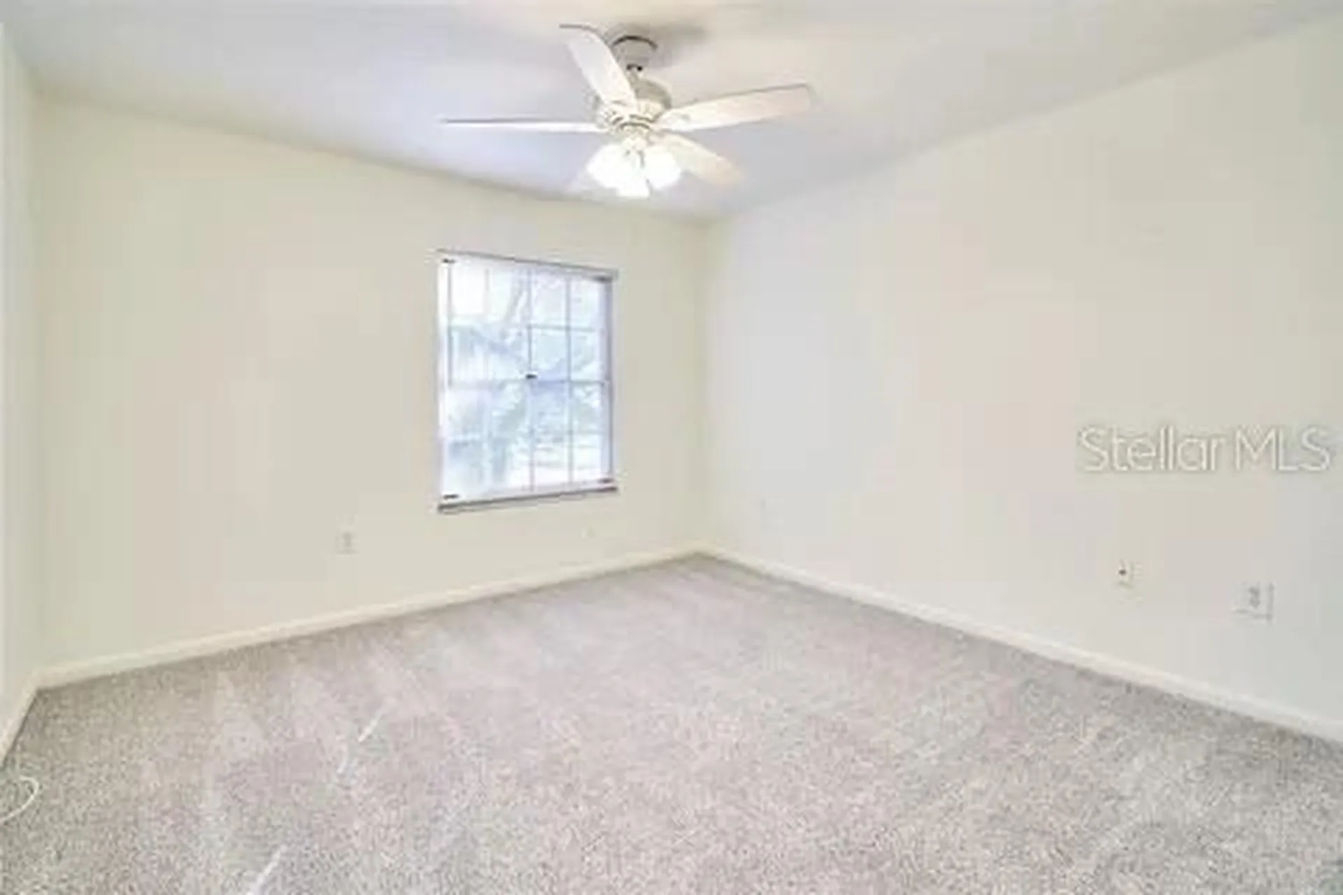 11713 Raintree Drive Tampa FL 33617