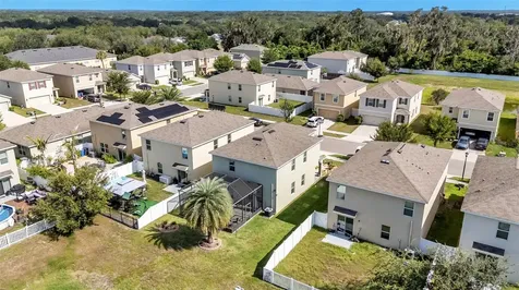 3509 Diamond Leaf Court Valrico FL 33594