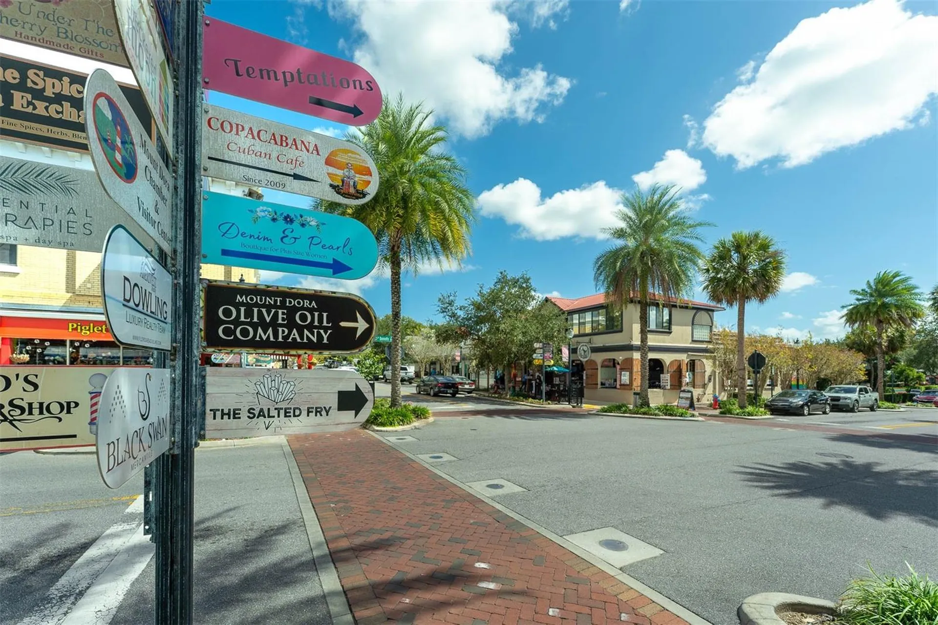 110 N Tremain Street Mount Dora FL 32757