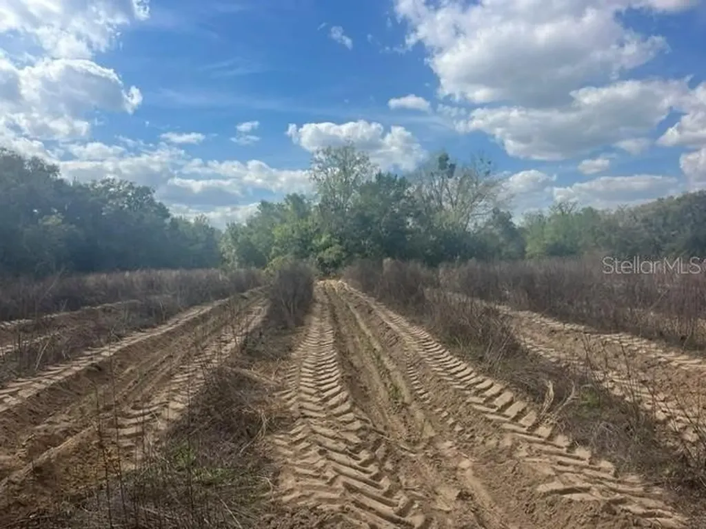 SE 132nd Street Summerfield FL 34491