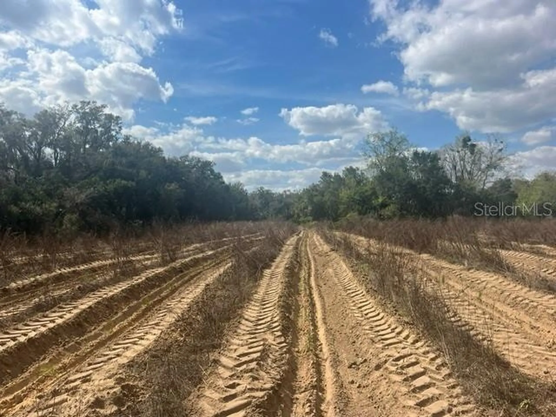 SE 132nd Street Summerfield FL 34491