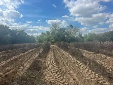 SE 132nd Street Summerfield FL 34491