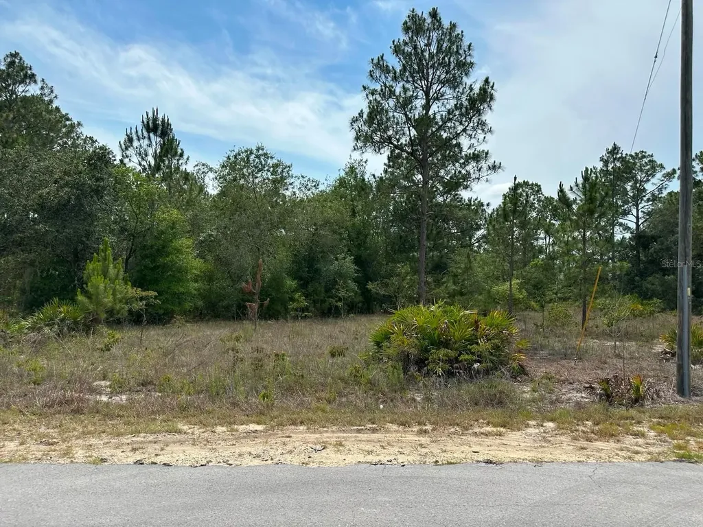 00 South Haven Court Dunnellon FL 34431