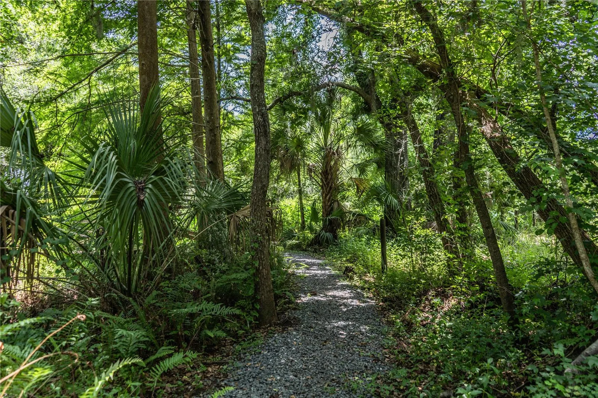 7375 Millbrook Oaks Drive Lakeland FL 33813