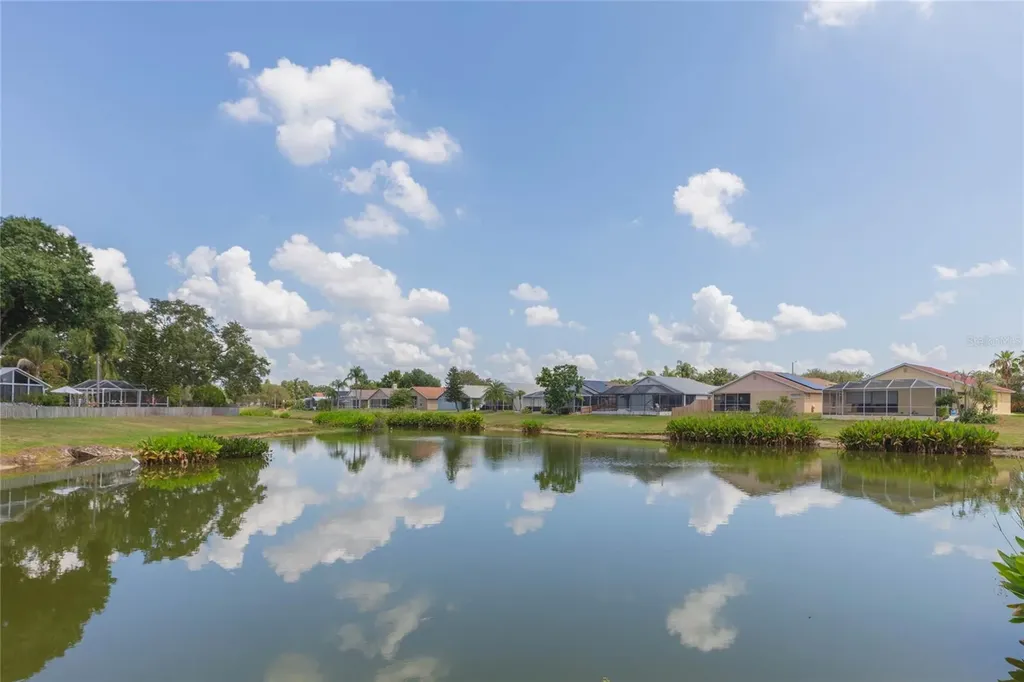 11520 Wellman Drive Riverview FL 33578