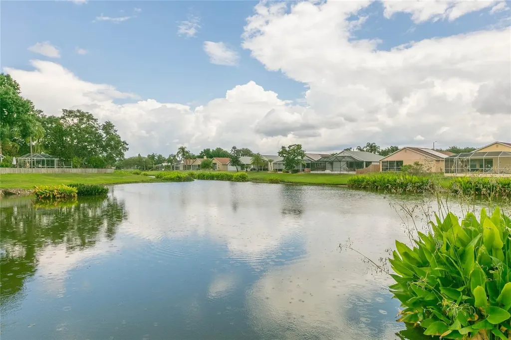 11520 Wellman Drive Riverview FL 33578