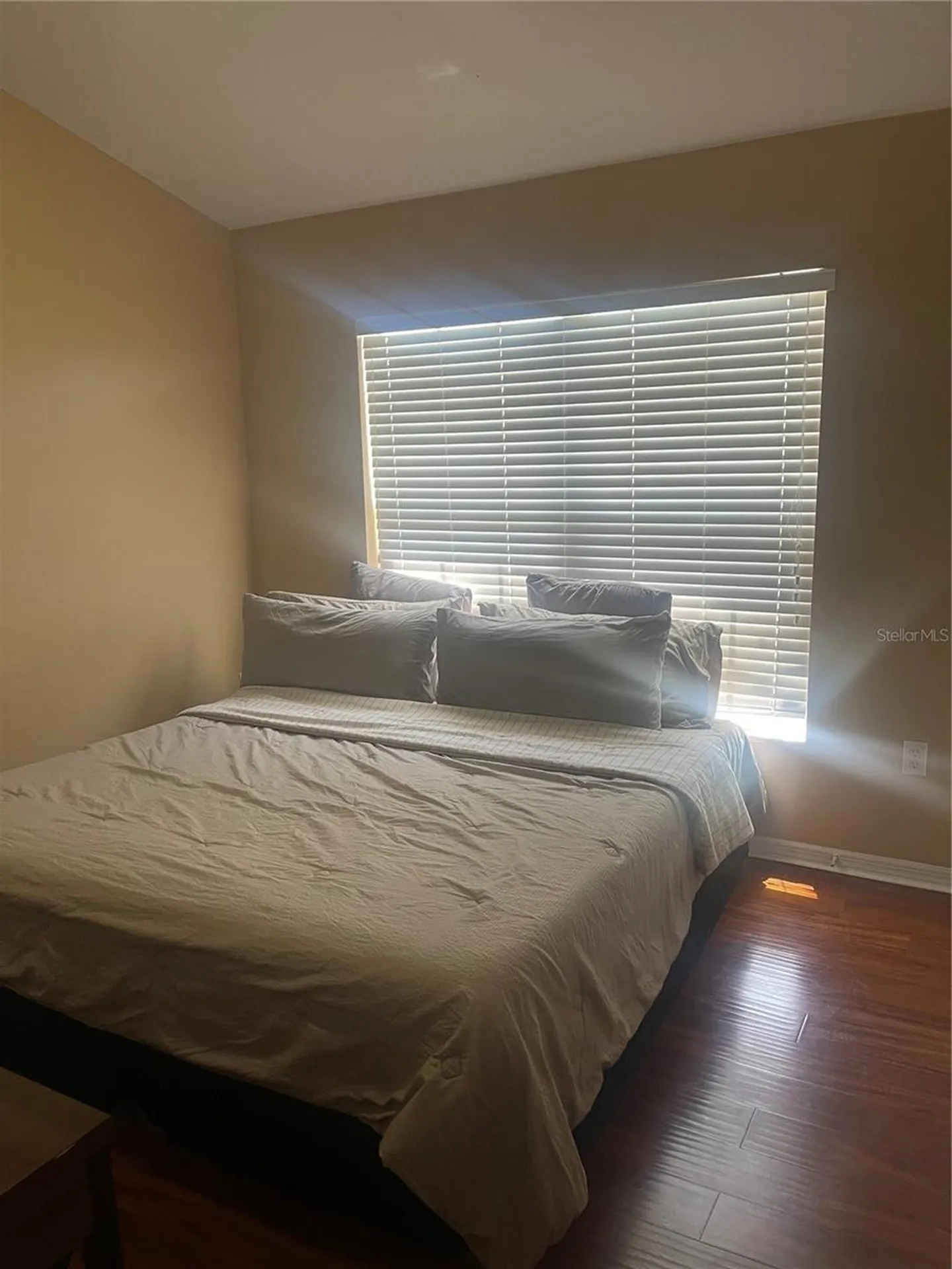 11517 Declaration Drive Tampa FL 33635