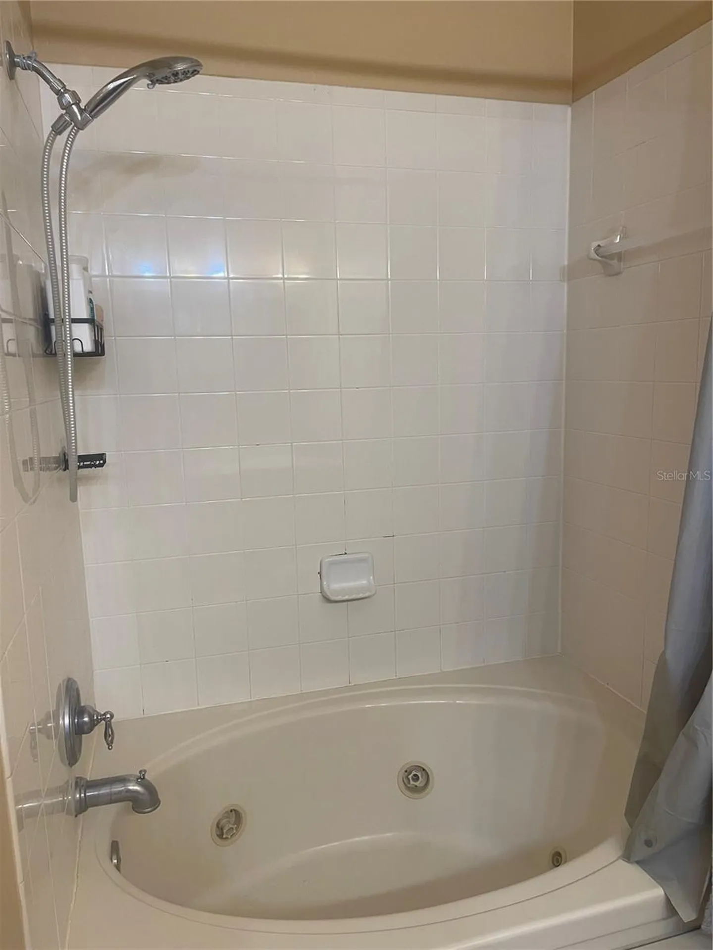 11517 Declaration Drive Tampa FL 33635