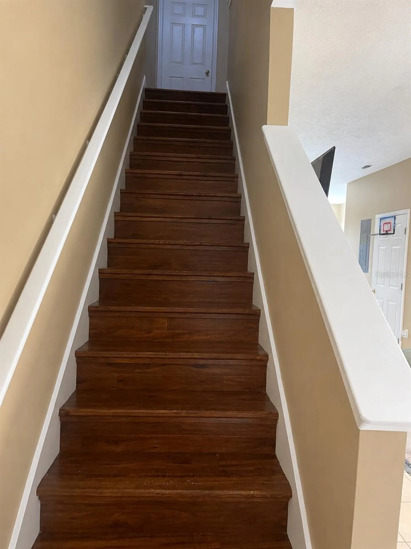 11517 Declaration Drive Tampa FL 33635