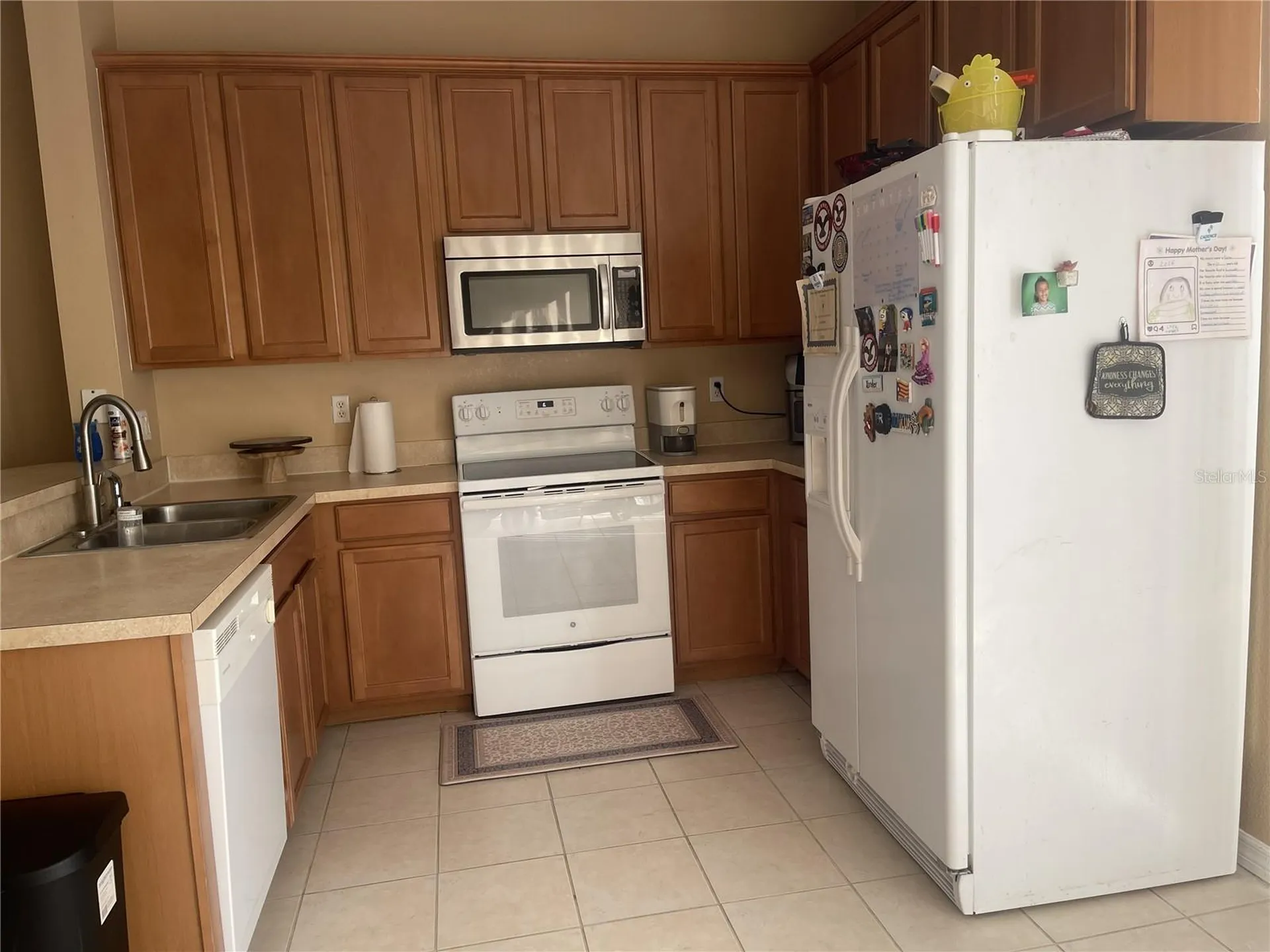 11517 Declaration Drive Tampa FL 33635