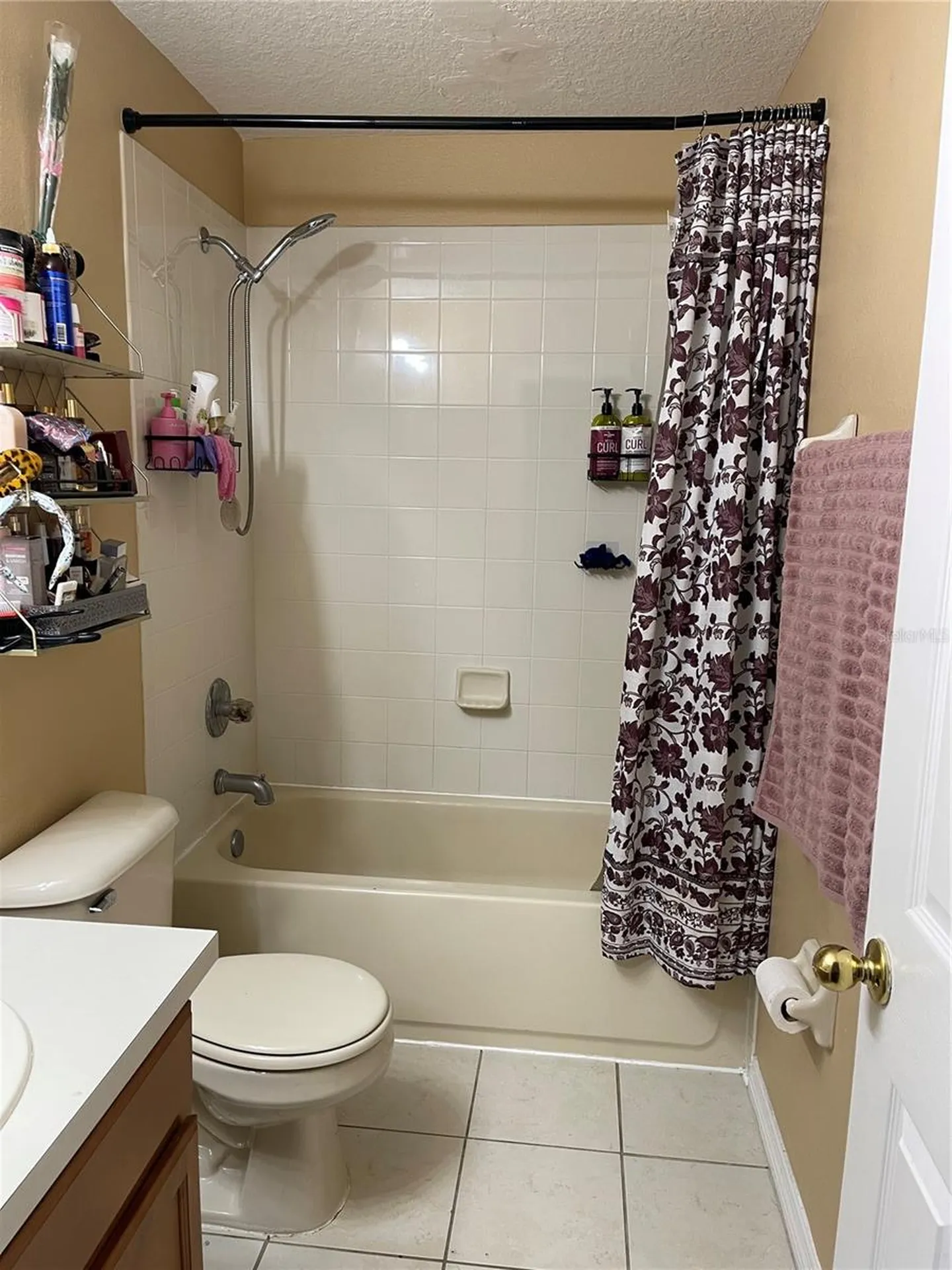11517 Declaration Drive Tampa FL 33635
