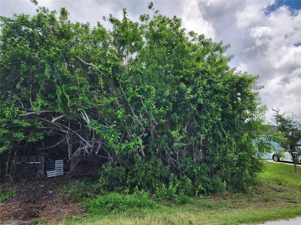 11256 Pendleton Avenue Englewood FL 34224
