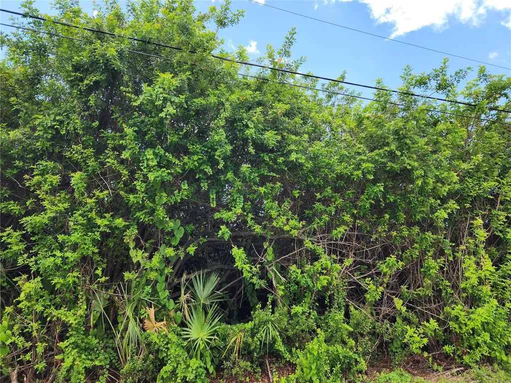 11256 Pendleton Avenue Englewood FL 34224