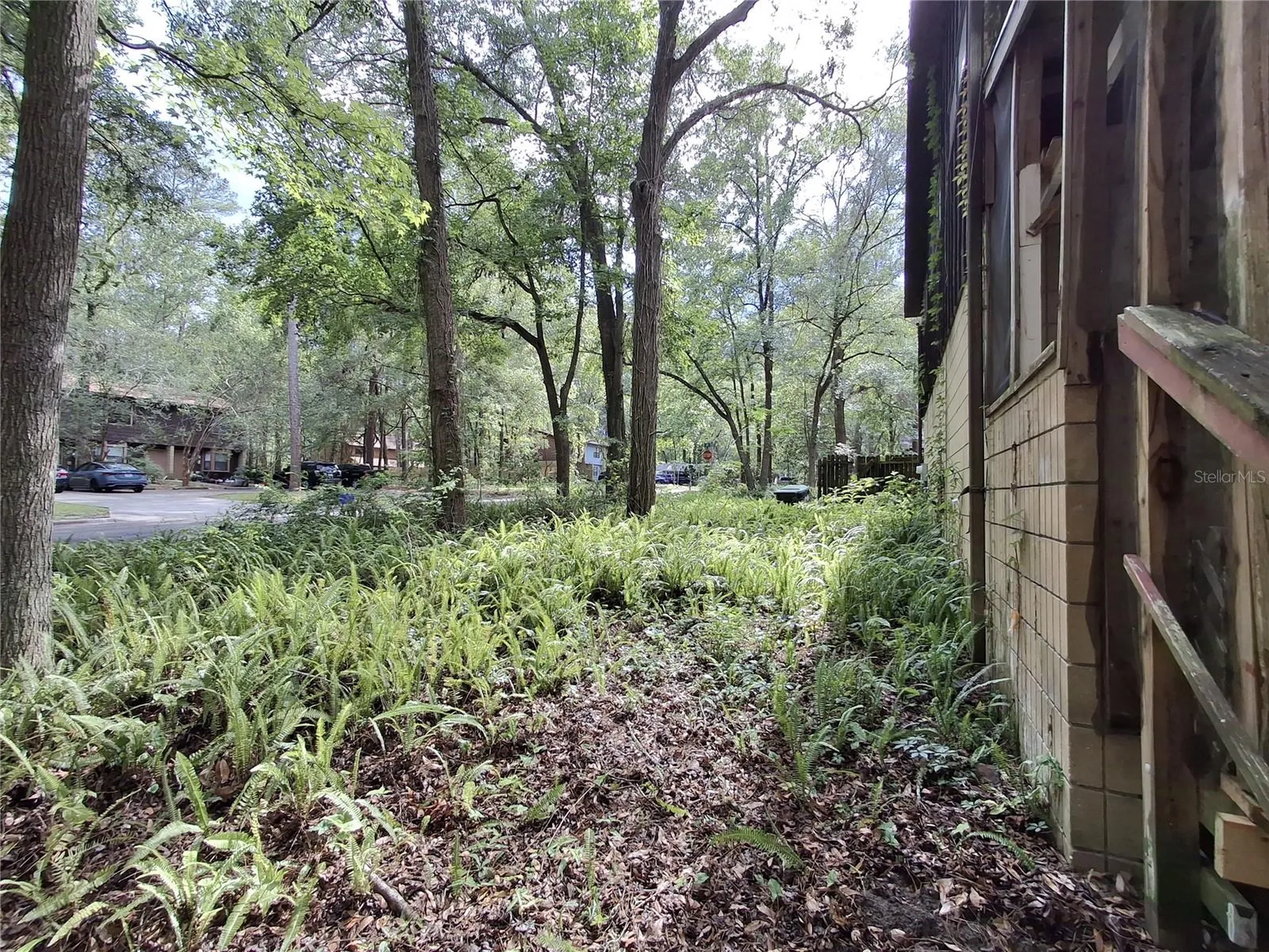4333 SW 69th Terrace Gainesville FL 32608