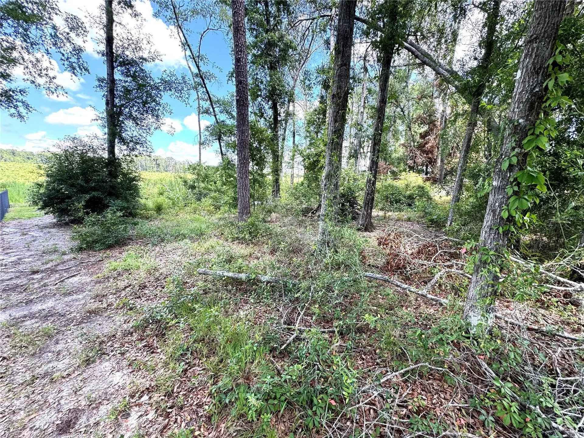 571 NW Zack Drive Lake City FL 32055