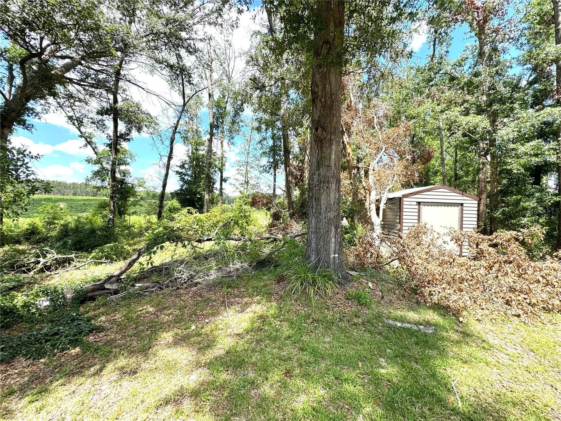 571 NW Zack Drive Lake City FL 32055