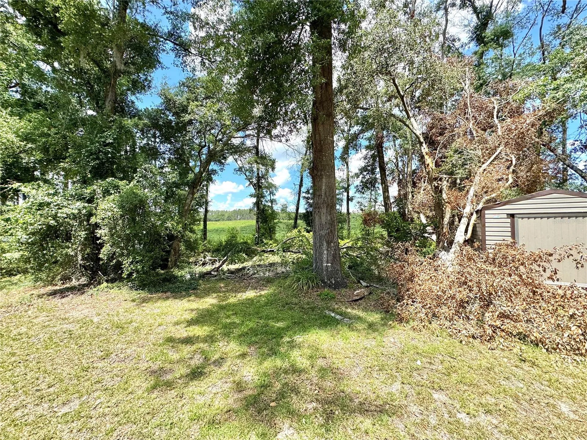 571 NW Zack Drive Lake City FL 32055