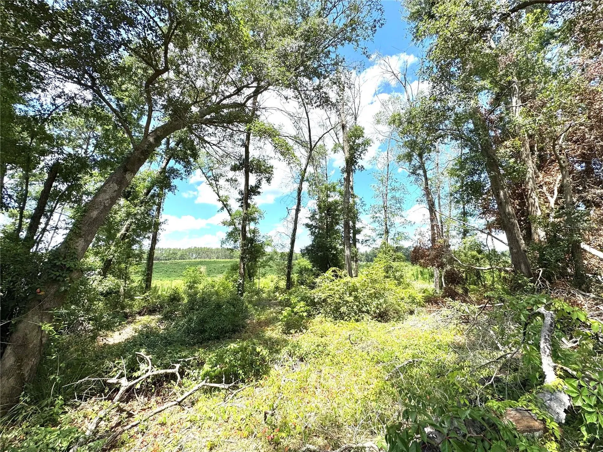 571 NW Zack Drive Lake City FL 32055