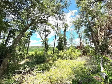 571 NW Zack Drive Lake City FL 32055