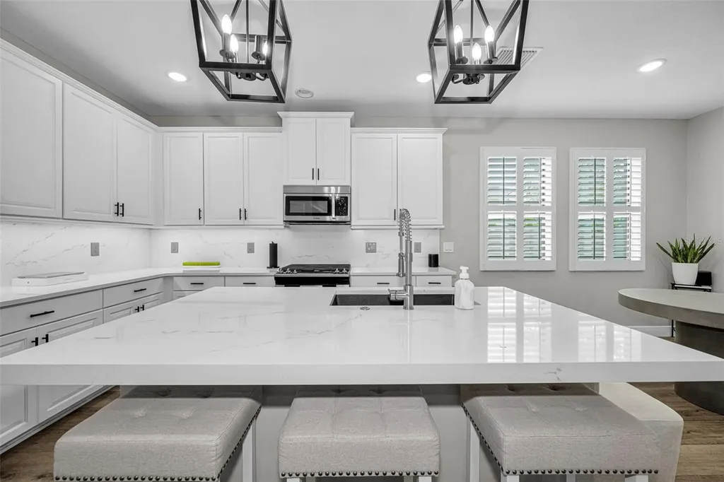12334 Lake Blanche Drive Odessa FL 33556