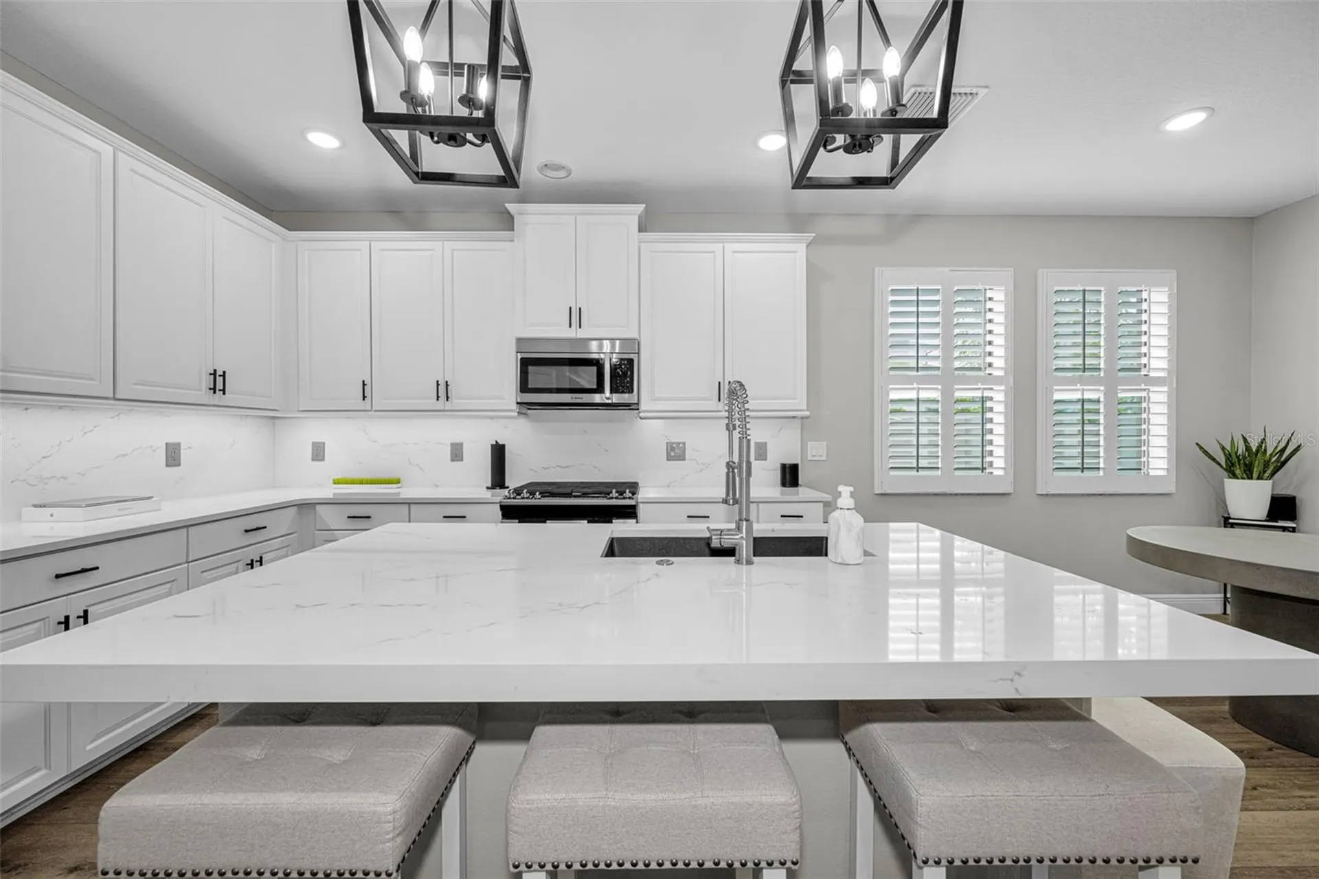 12334 Lake Blanche Drive Odessa FL 33556