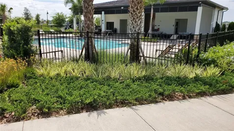 7361 Alpine Butterfly Lane Orlando FL 32819