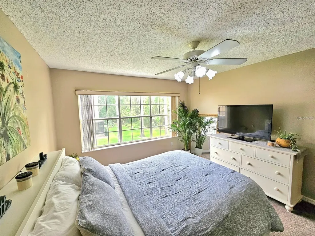 3612 Pine Knot Drive Valrico FL 33596