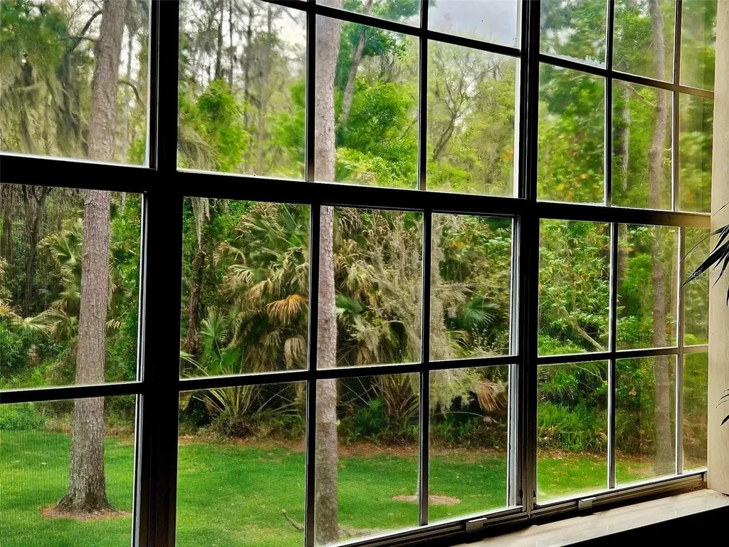 3612 Pine Knot Drive Valrico FL 33596