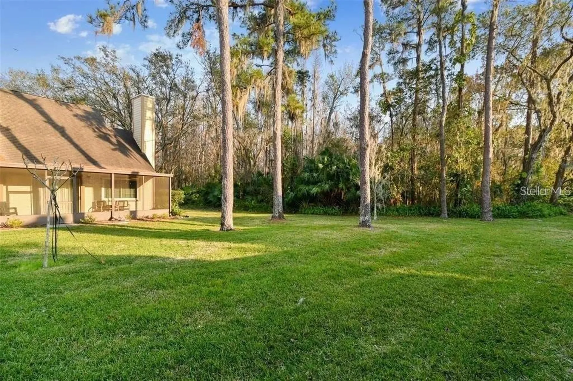 3612 Pine Knot Drive Valrico FL 33596