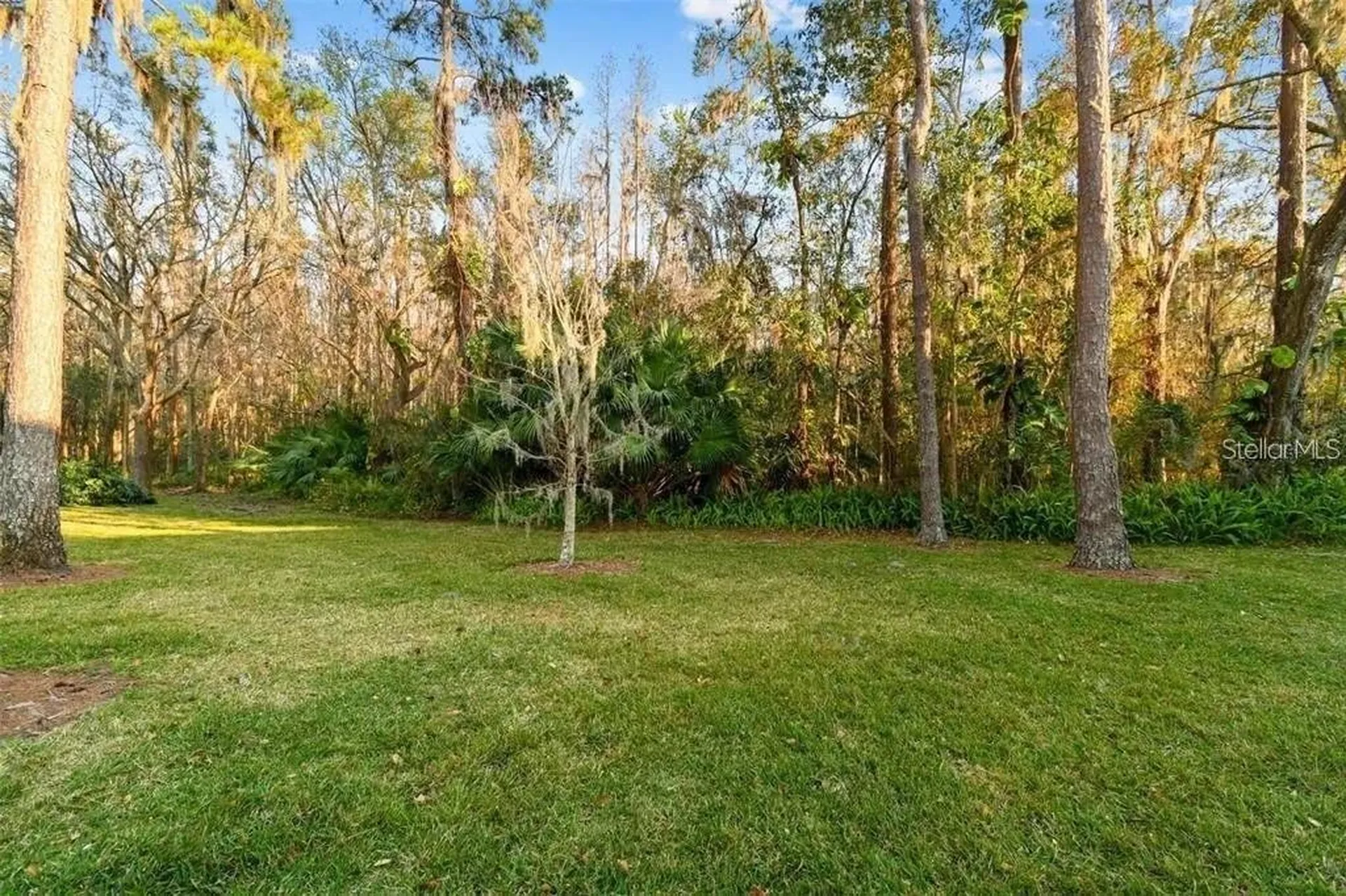 3612 Pine Knot Drive Valrico FL 33596