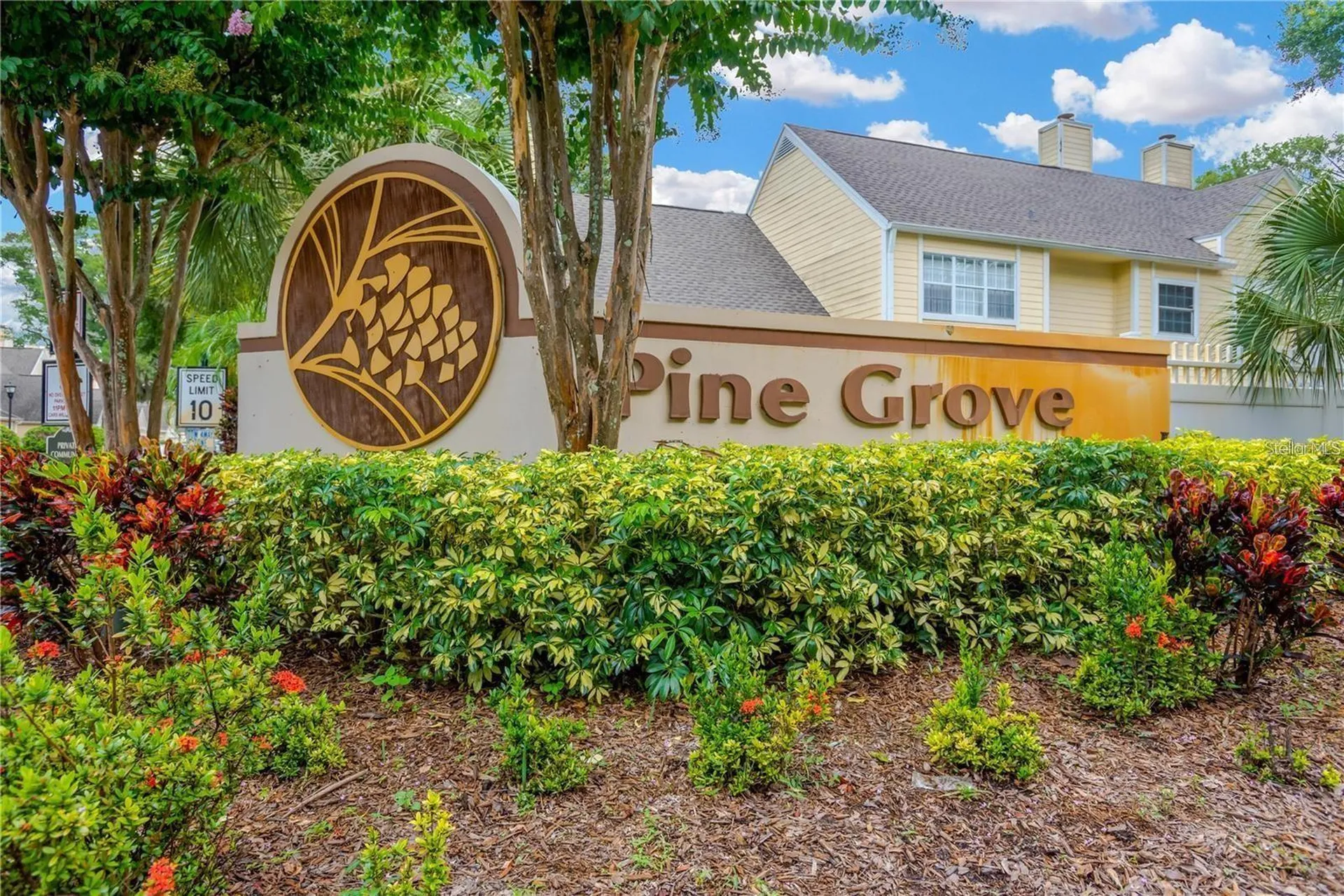 3612 Pine Knot Drive Valrico FL 33596
