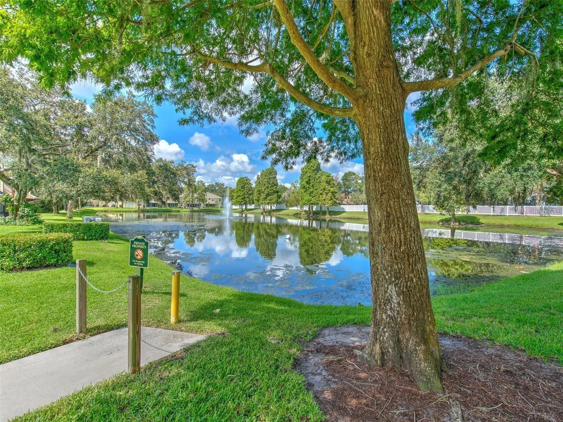 3612 Pine Knot Drive Valrico FL 33596