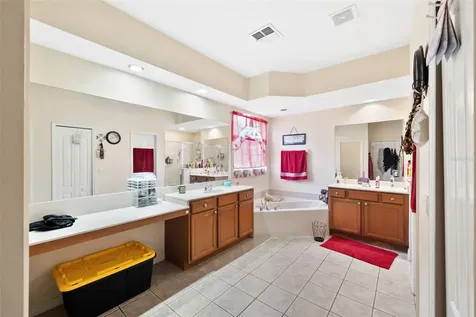 2901 Rambling Oaks Way Kissimmee FL 34746
