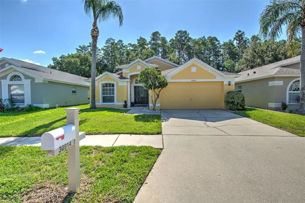 30914 Burleigh Drive Wesley Chapel FL 33543