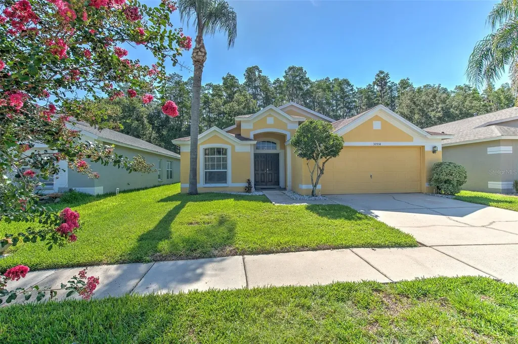 30914 Burleigh Drive Wesley Chapel FL 33543