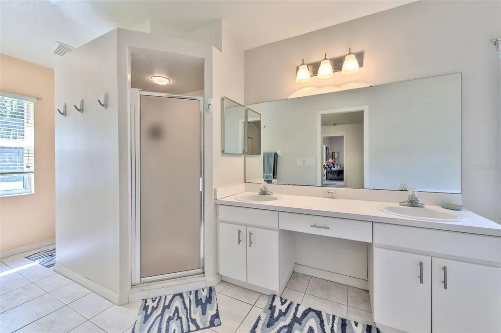 30914 Burleigh Drive Wesley Chapel FL 33543