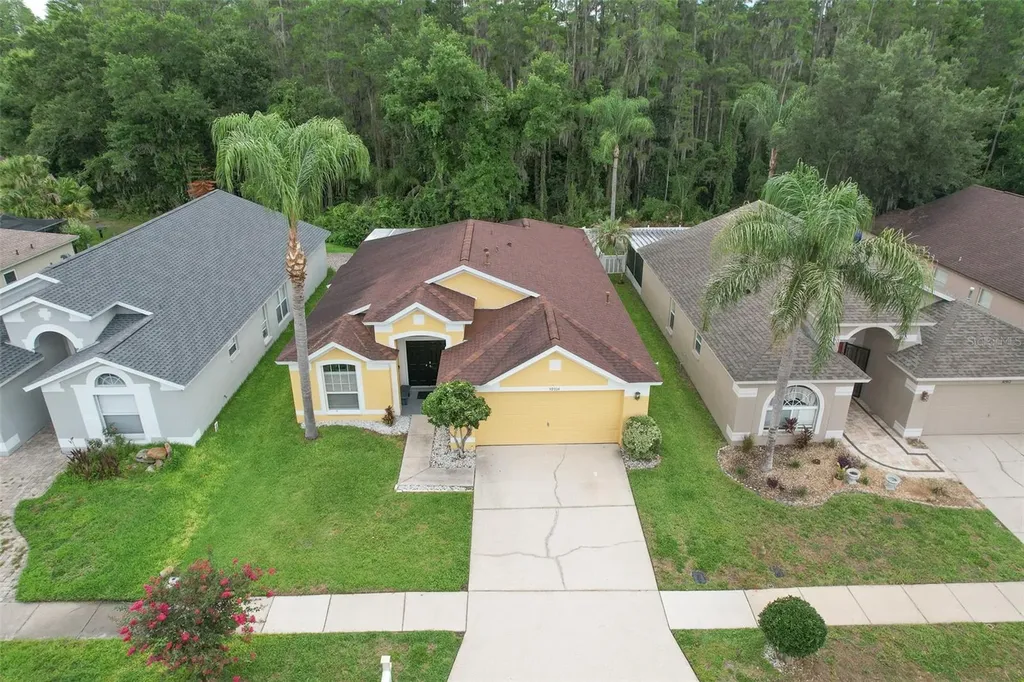 30914 Burleigh Drive Wesley Chapel FL 33543